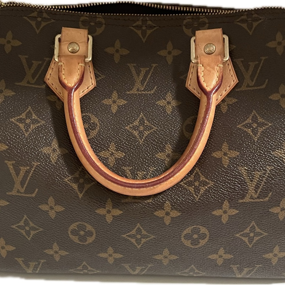 Speedy 25 Louis Vuitton Monogram Canvas Handbag